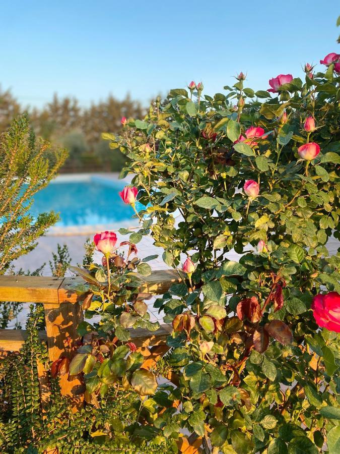 Agriturismo Le Giare Bagno Roselle Ngoại thất bức ảnh