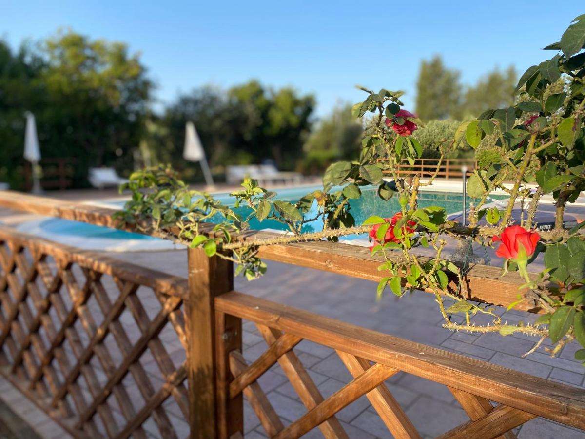 Agriturismo Le Giare Bagno Roselle Ngoại thất bức ảnh