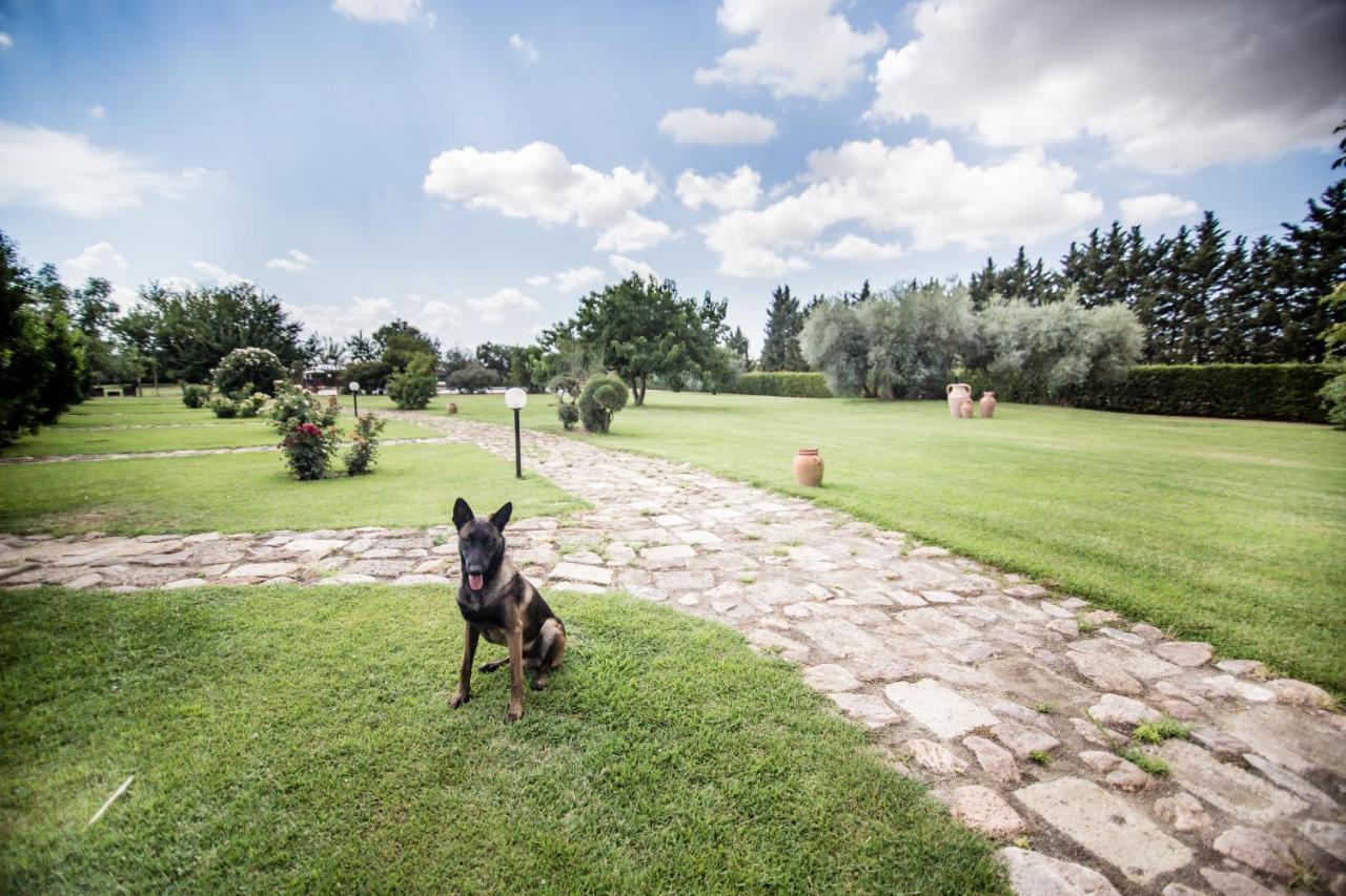 Agriturismo Le Giare Bagno Roselle Ngoại thất bức ảnh